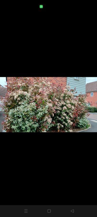 Homely Home Coventry Exterior foto